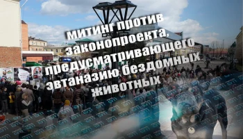 В Иркутск 26 апреля прошёл митинг против законопроекта, предусматривающего эвтаназию бездомных животных